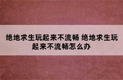 绝地求生玩起来不流畅 绝地求生玩起来不流畅怎么办